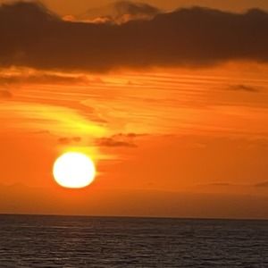 Meet your Posher, Marion